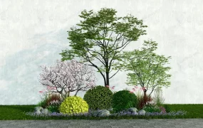 Shade Garden Plant Ideas