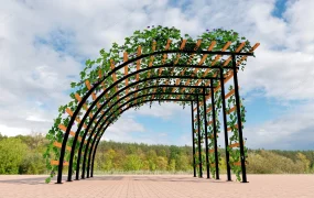 Rose Pergola Idea