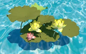 Yellow And Pink Lotus Flowers