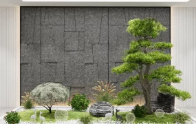 Zen Inspired Indoor Garden