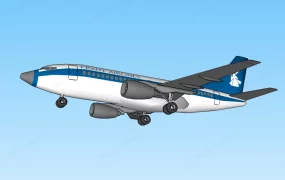 Frant Airliner Plane