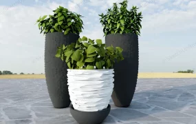 Herb Garden Planters