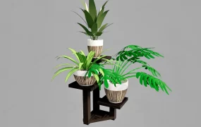 Plant Pot On Stand