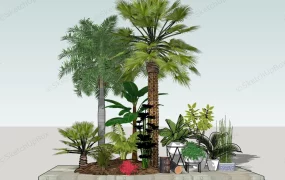 Tropical Garden Trees