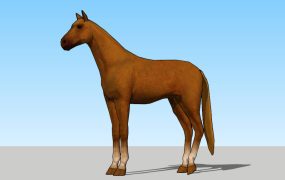 Brown Horse #2