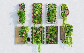 Succulent Wall Arrangement