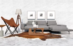 Scandinavian Living Room Design