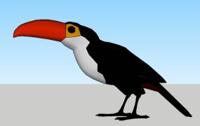 Toco Toucan
