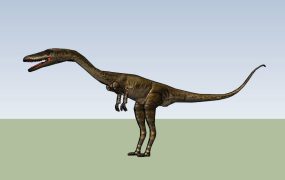 Coelophysis Dinosaur
