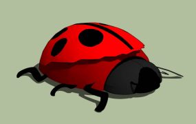 Pretty Ladybug