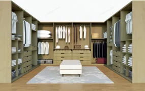 Dressing Room Closet Design