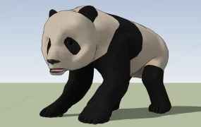 Panda Animal