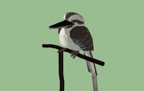 Male Blue-winged Kookaburra Bird