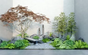 Modern Indoor Zen Garden