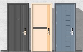 Entrance Door with Smart Lock