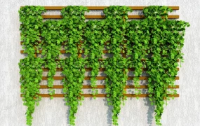 Wooden Vertical Wall Garden With Plants