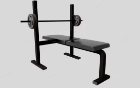 Weight Bench With Weights