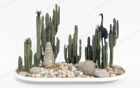Backyard Cactus Garden Idea