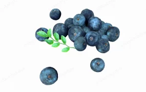 Blueberry Fruit