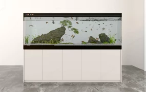 Mountain Landscape Aquarium