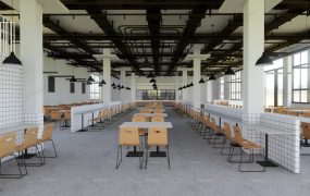 School Canteen Interior Design