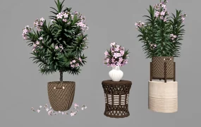 Potted Flowers