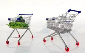Stainless Steel Shopping Cart
