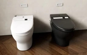 Modern Smart Toilets