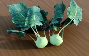 Kohlrabi Vegetable