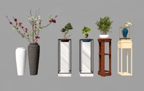 Vases And Bonsai