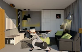 Single Guy Apartment Idea