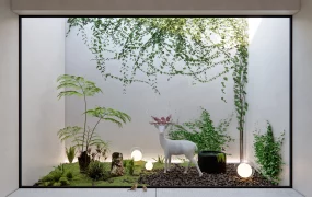 Modern Indoor Garden