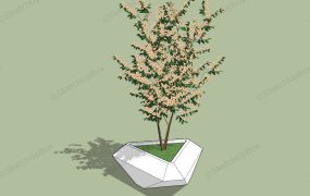 Flower Bed Around Tree