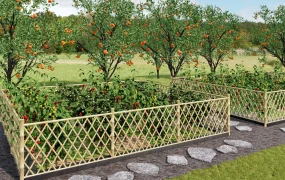 Vegetable Garden And Orchard