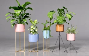 Modern Potted Plant Collection On Metal Stands