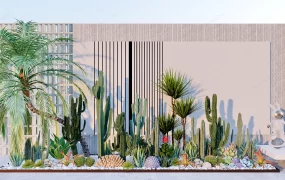 Cactus And Succulent Garden Ideas