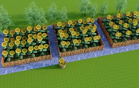 Sunflower Garden
