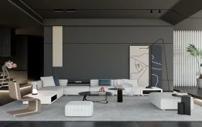 Dark Contemporary Design Living Room