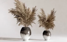 Bouquet Of Dried Reeds