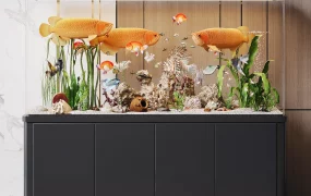 Modern Freestanding Aquarium Setup