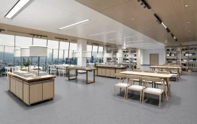 School Library Interior Design