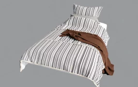 Single Twin Sized Bed
