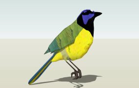 Orange Bellied Leafbird