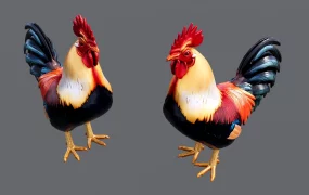 Colorful Rooster