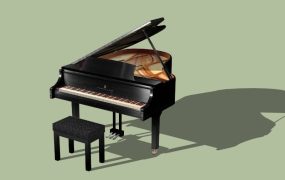 Grand Piano and Bench