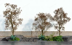 Backyard Landscape Trees