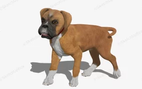 Boxer Dog Puppy
