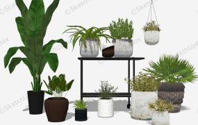 Indoor Planter Stands With Stylish Pots
