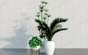 House Plant Set
