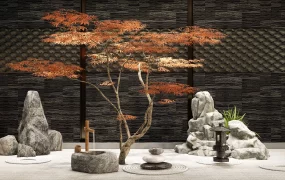 Indoor Japanese Zen Garden